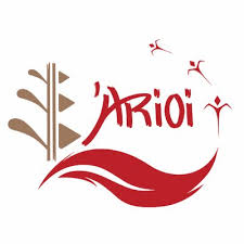 Logo Arioi