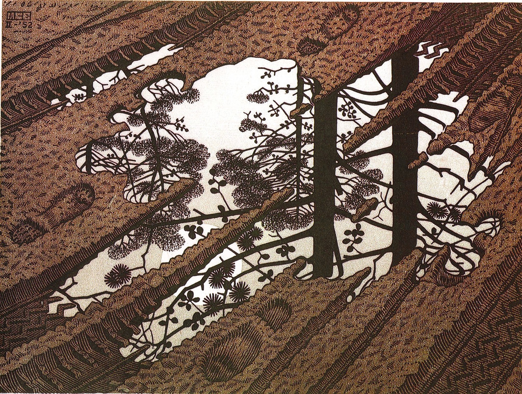 Illustration de M. C. Escher, Flaque d'eau, 1952, xylogravure en 3 couleurs. flaque-eau.jpg