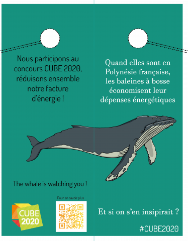 affichette porte CUBE 2020